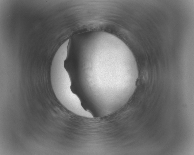 X0000068860964200605192013