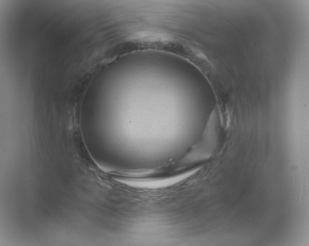 X0000068860965200605192013