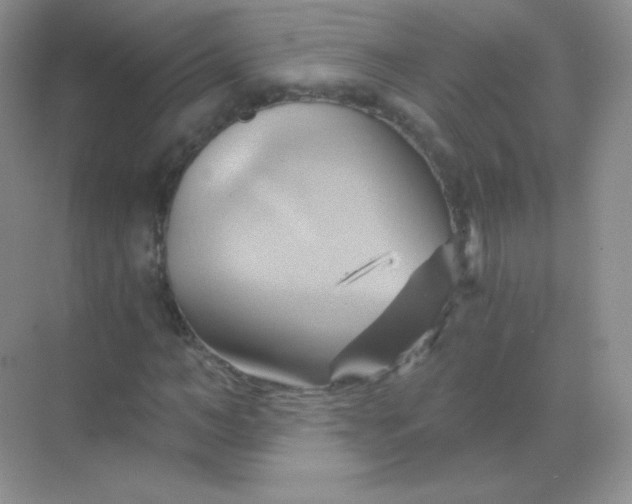 X0000068860966200605192013