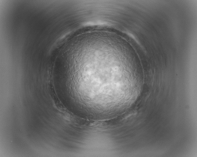 X0000068860967200605192013