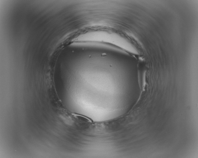 X0000068860968200605192013