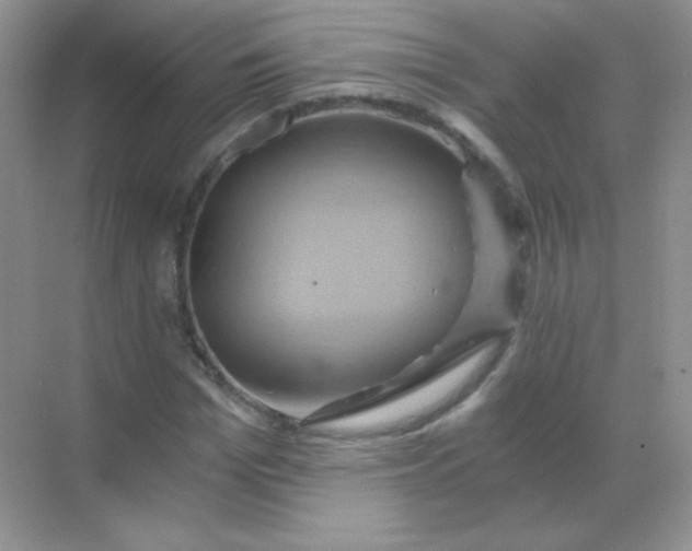 X0000068860969200605192013