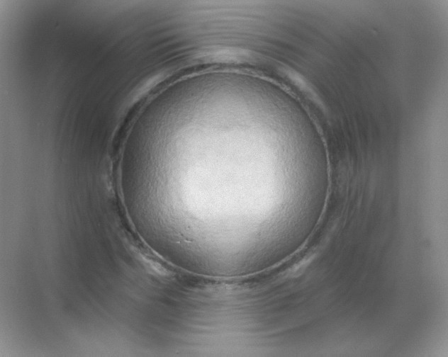 X0000068860970200605192013