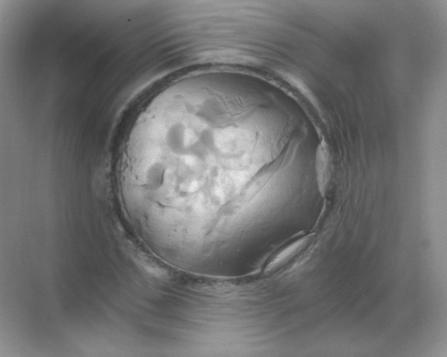 X0000068860971200605192013