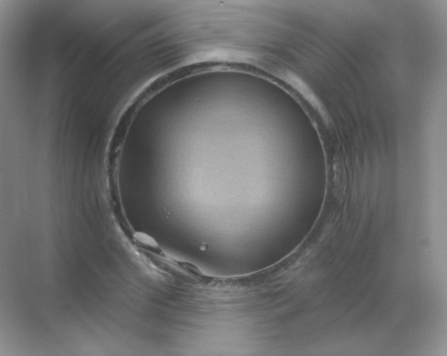 X0000068860972200605192013