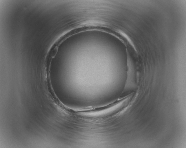 X0000068860973200605192013