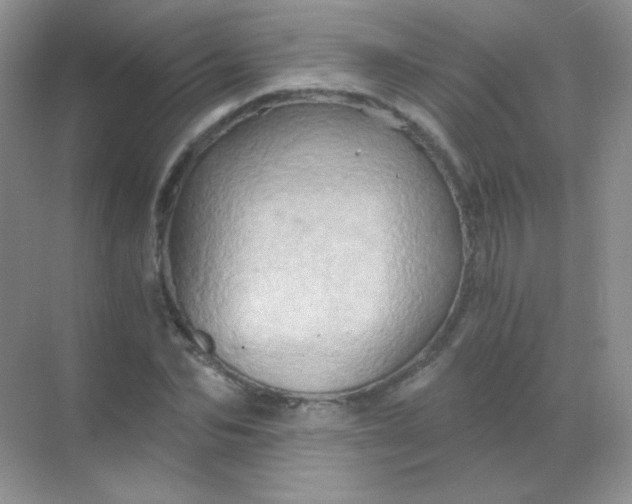 X0000068860974200605192013