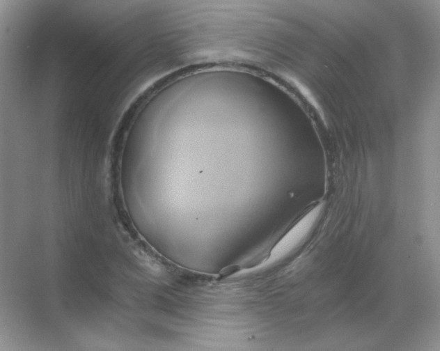 X0000068860975200605192013