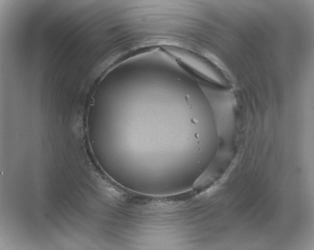 X0000068860977200605192013