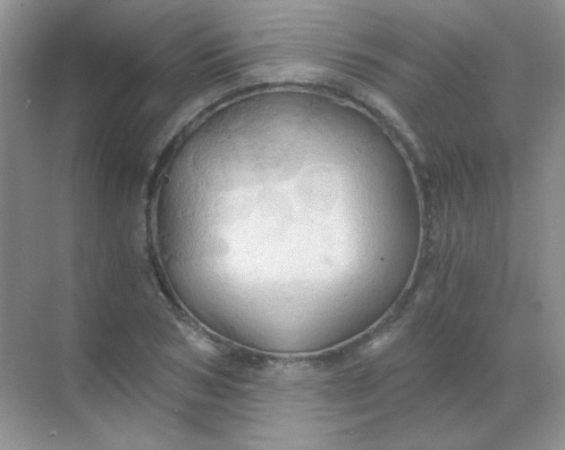 X0000068860978200605192013