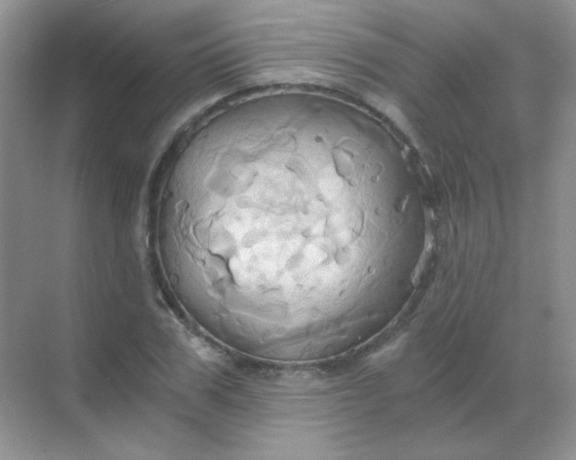 X0000068860979200605192013