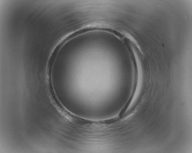 X0000068860981200605192013