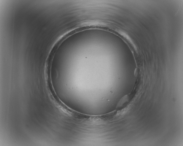 X0000068860983200605192013