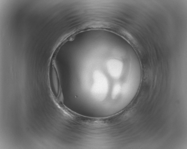 X0000068860986200605192013