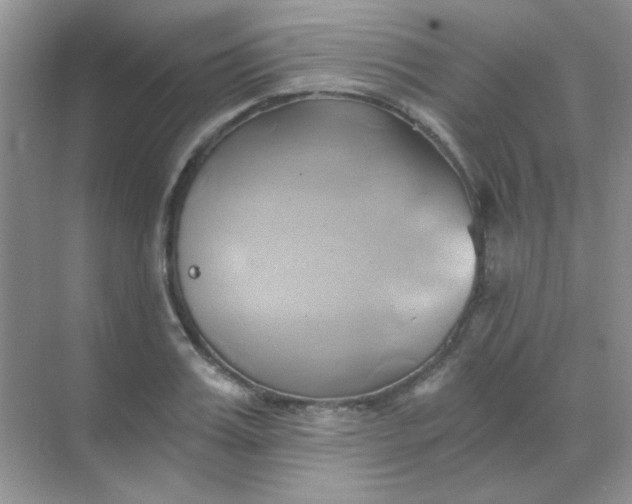 X0000068860987200605192013