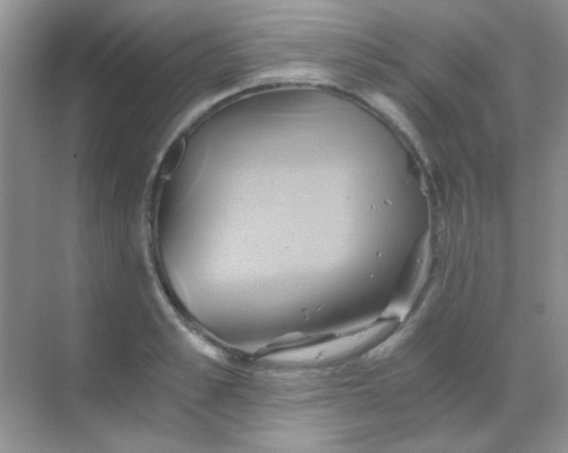 X0000068860989200605192012