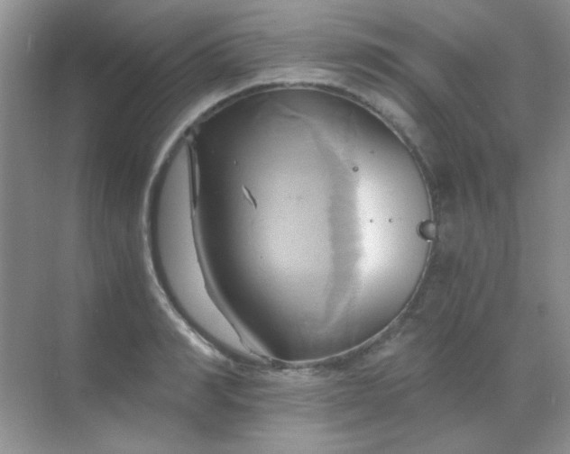 X0000068860990200605192012