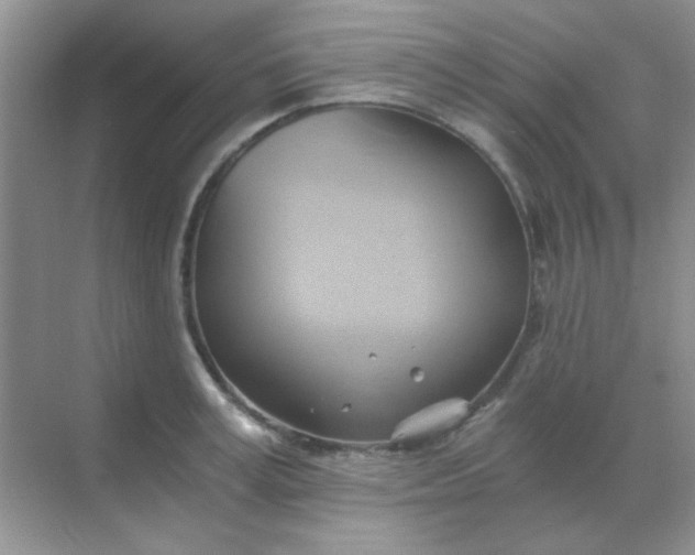 X0000068860995200605192012