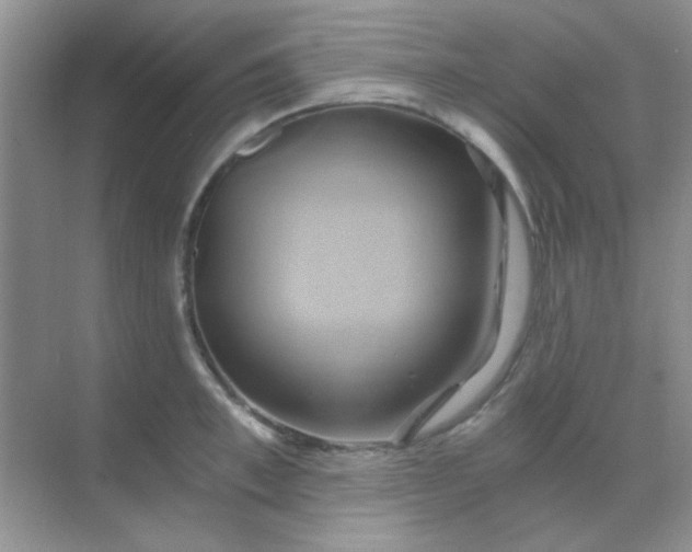 X0000068860997200605192012