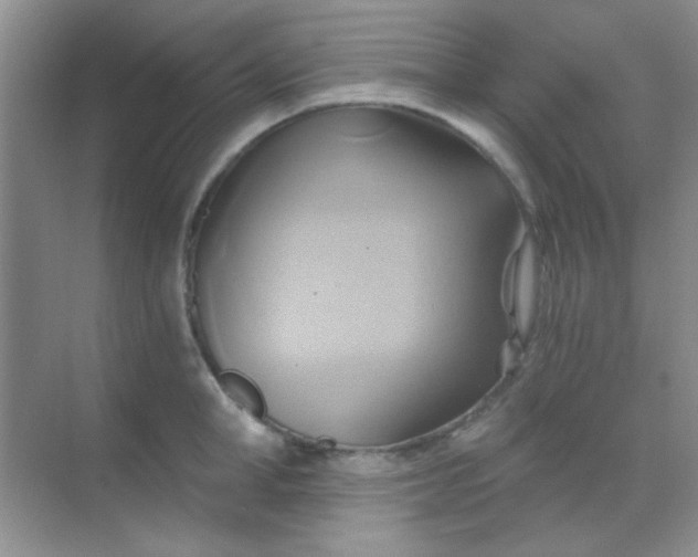 X0000068860998200605192012