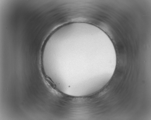 X0000068861000200605192012