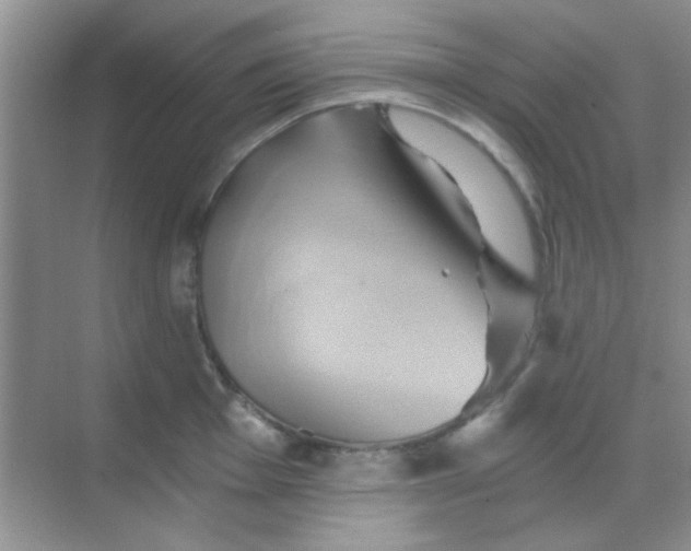 X0000068861001200605192012