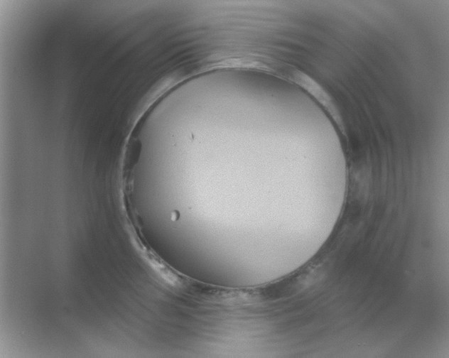 X0000068861002200605192012