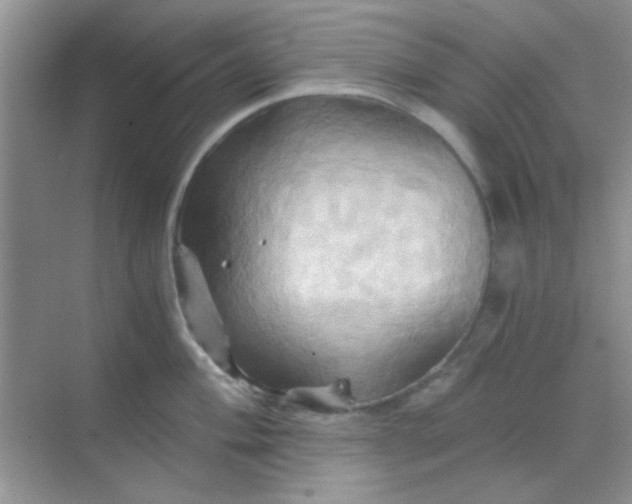 X0000068861004200605192012