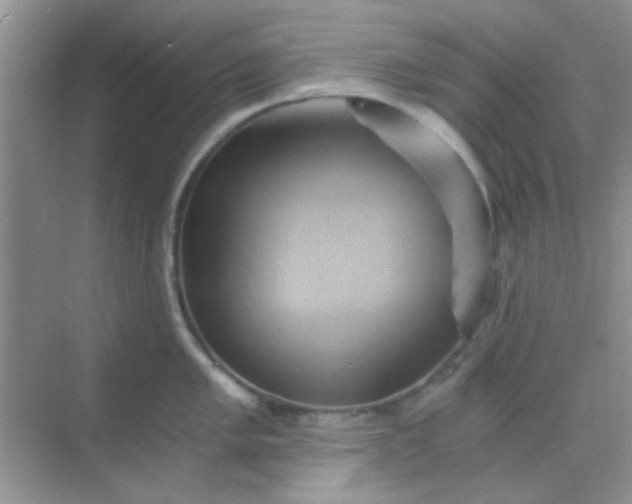 X0000068861005200605192012