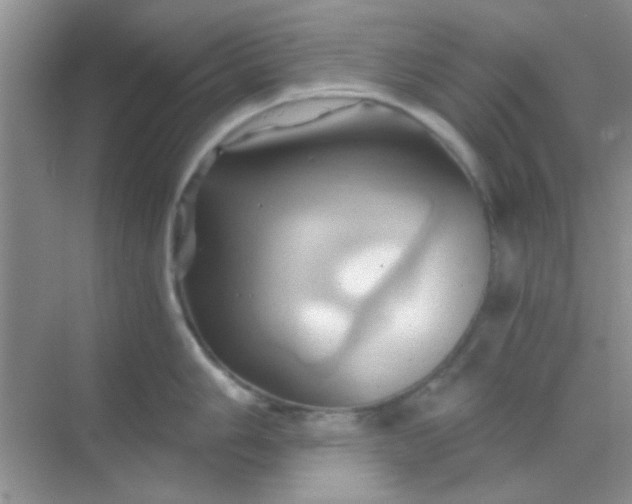 X0000068861006200605192012