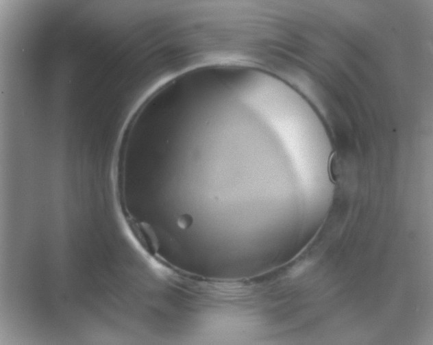 X0000068861007200605192012