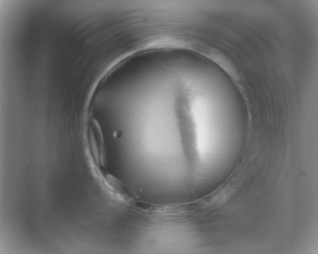 X0000068861008200605192012