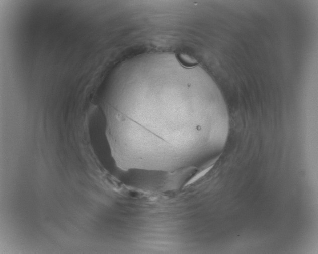 X0000068861009200605192011