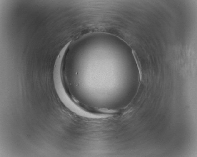 X0000068861010200605192011