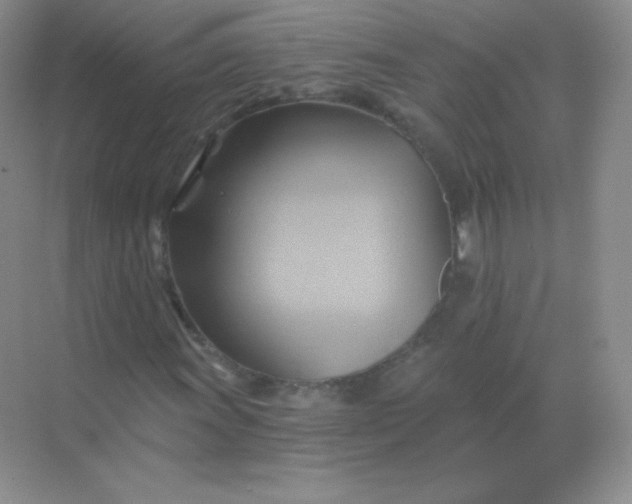 X0000068861011200605192011