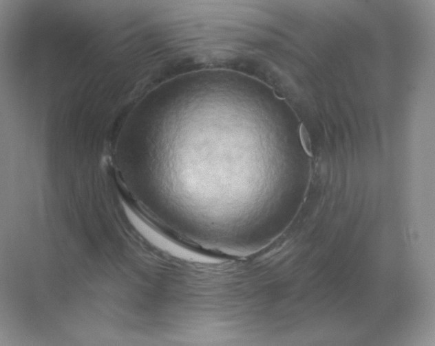 X0000068861012200605192011