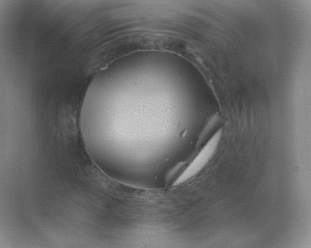 X0000068861013200605192011