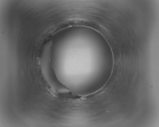 X0000068861014200605192011