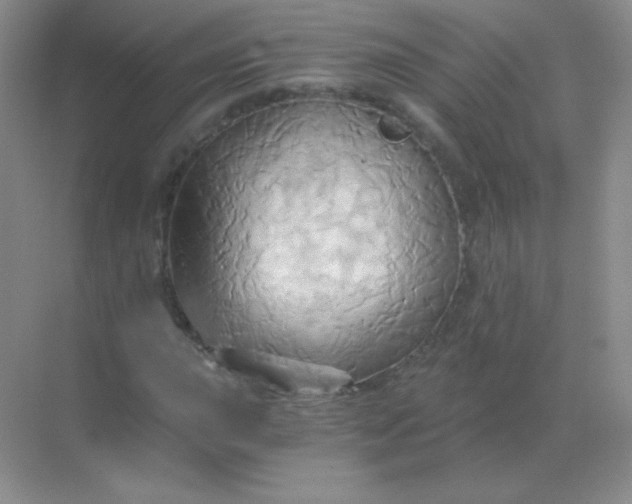 X0000068861015200605192011