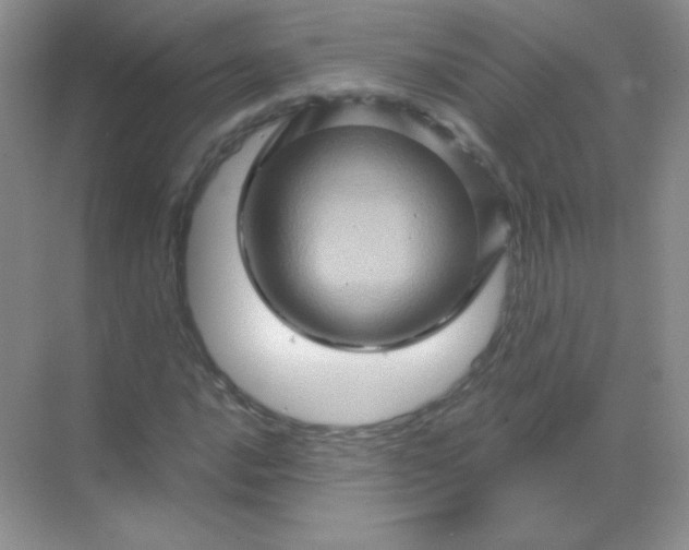 X0000068861016200605192011