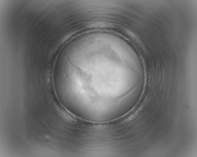 X0000068861017200605192011