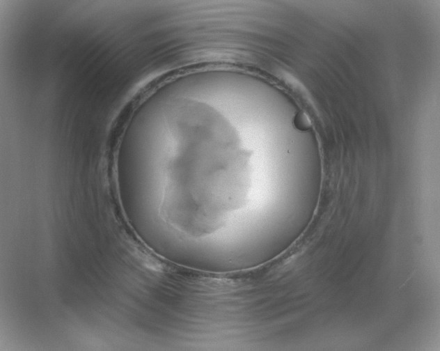 X0000068861019200605192012