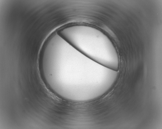 X0000068861020200605192012