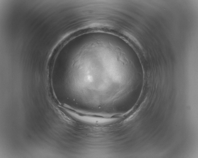 X0000068861021200605192012