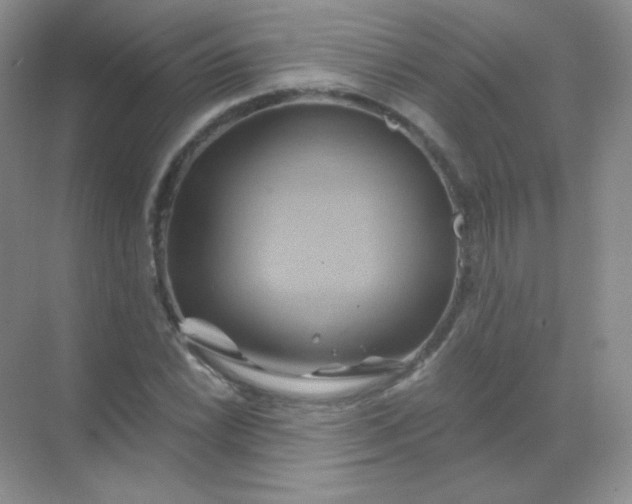 X0000068861022200605192012