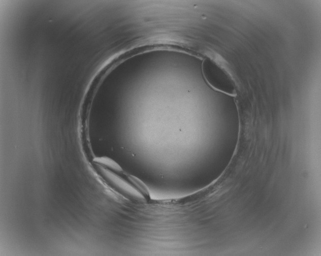 X0000068861024200605192012