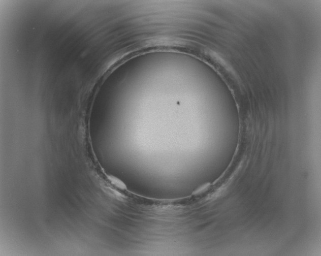 X0000068861025200605192012