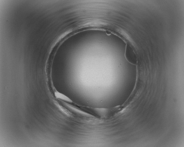 X0000068861026200605192012