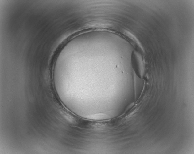 X0000068861027200605192012