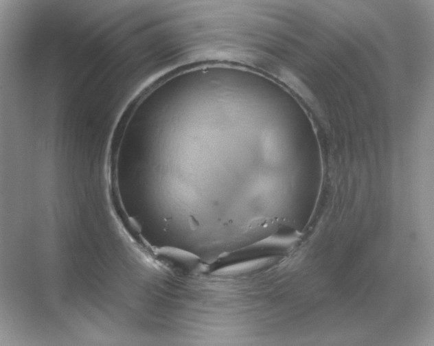 X0000068861028200605192012